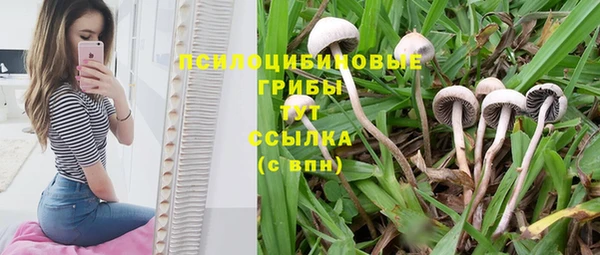гидропоника Алексеевка