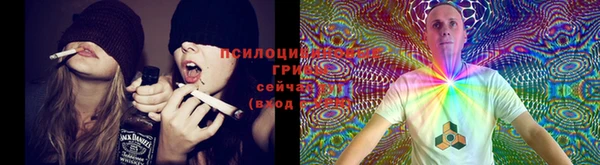 каннабис Алзамай