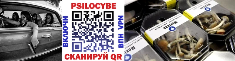 Галлюциногенные грибы MAGIC MUSHROOMS  Купить закладки  Александровское 