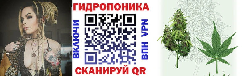 Шишки марихуана ГИДРОПОН  Купить  Александровское 